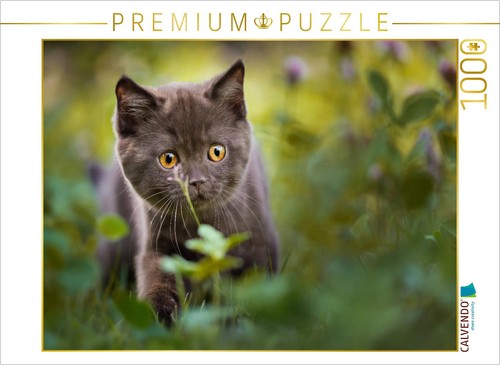 Calvendo puzzle small - calvendo,