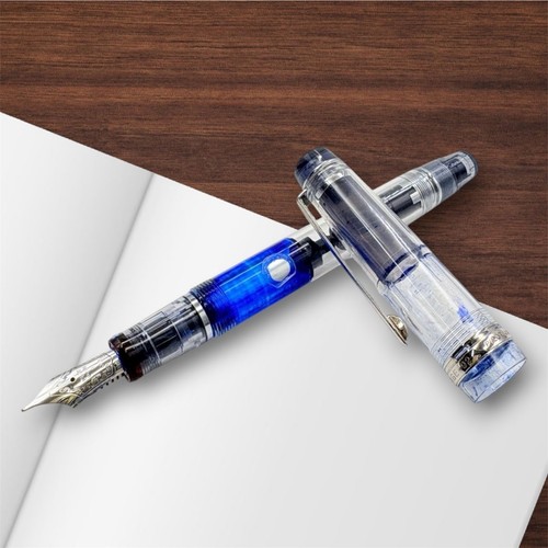 Stylo plume pilot custom - stylo,