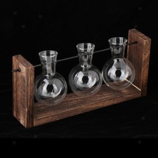 Jardinière En Verre pour