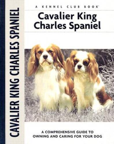 Cavalier king charles spaniel - king,