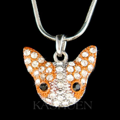 Collier chien chihuahua chi - collier,