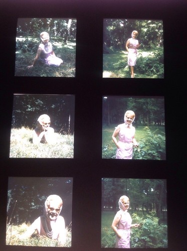 Catherine langeais planche - langeais, :