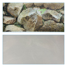 poster fond aquarium reversible  TERRARIUM PALUDARIUM EAU DOUCE/MER 60 x 30 cm