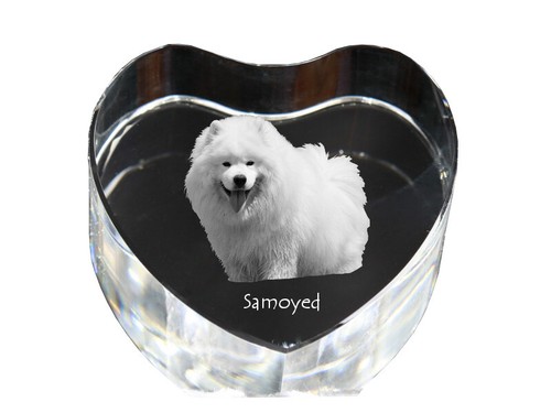 Samoyède cœur cristal - de,