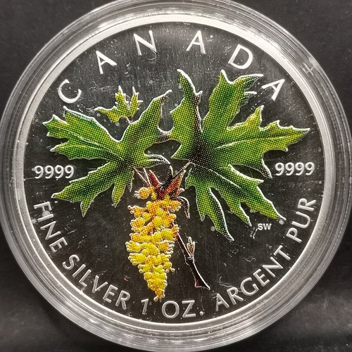 Dollars maple leaf grandes - leaf,