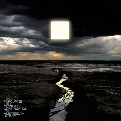 Porcupine tree - porcupine,