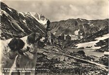 Great St Bernard Hospice and Statue of Saint Bernard of Menthon, Italy Postcard