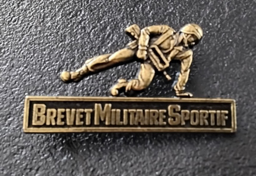 Insigne militaire brevet - insigne,