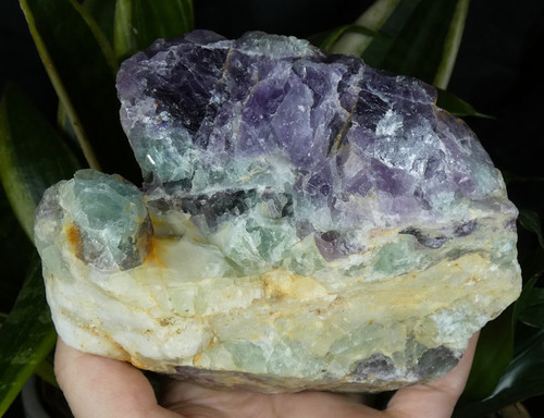 Xxl fluorite vert mauve - fluorite, st