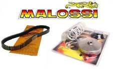 Variateur MALOSSI + Courroie