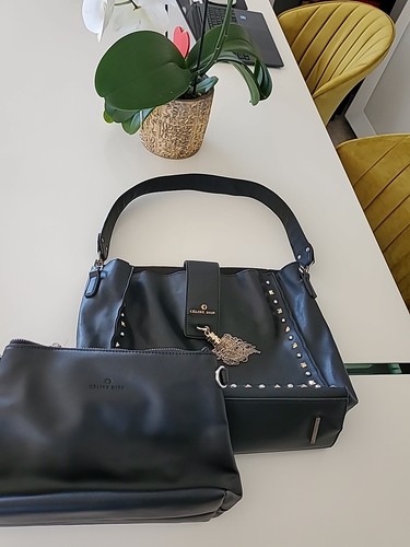 Sac céline dion - sac,
