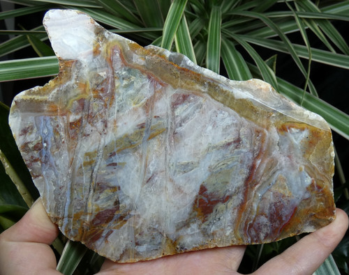 Tranche agate naturelle - agate, la