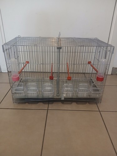 Cage oiseaux table - à, de