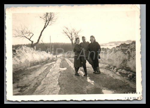 Photo ww2 coq dans le - ww2,,