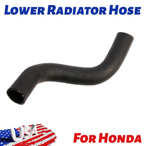 Lower radiator hose - hose, honda