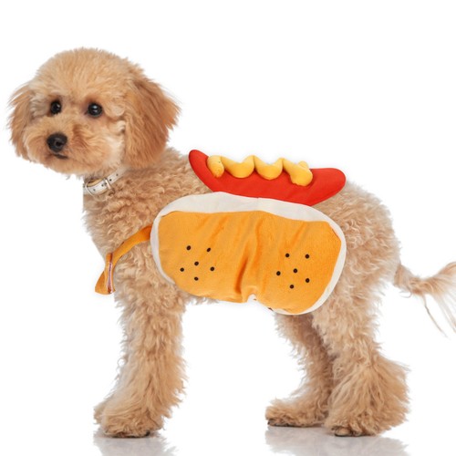 Deguisement pour chien - deguisement,