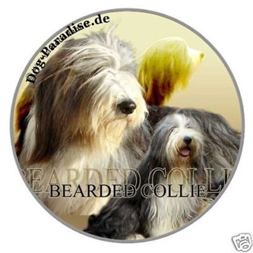 Sticker motif barbu - barbu, collie