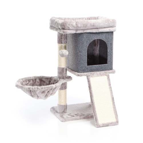 Fudajo arbre chat gris - arbre,