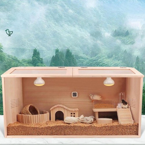 Couveuse pour poussins cage - pour, poussins,