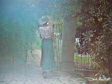 Carte Postale   DAVID  HAMILTON   Format 12x17cm  Postcard CP