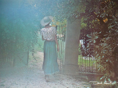 Carte postale david - carte,
