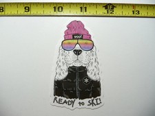 WINTER SPORTS DOG READY TO SKI