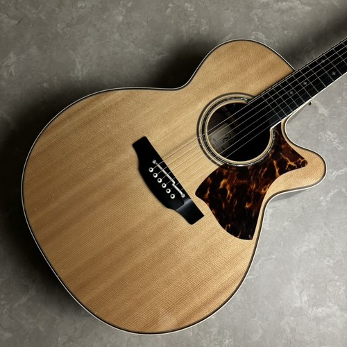 Guitare électrique acoustique