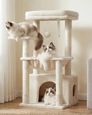Arbre À Chat, Arbre À Chat