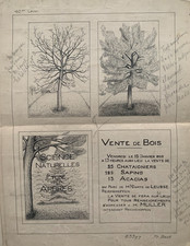 RARE DRAWING BOARD ADVERTISING SALE STUDENT WOOD FROM THE PIGIER SCHOOL EARLY XX° (3)