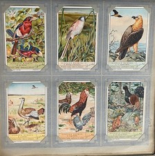 6 LIEBIG FRANCAIS CHROMOS N° S1408 BIRDS BEARDED YEAR 1939