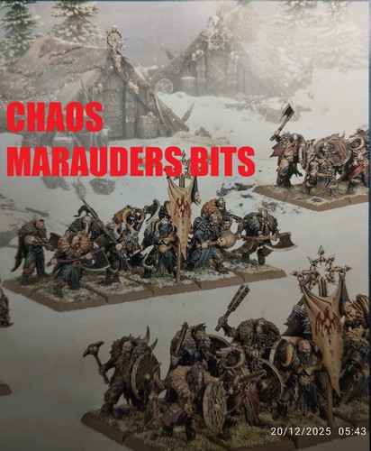 Warhammer the old world - the, chaos
