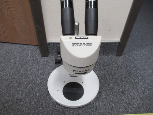 Microscope stéréo wild - microscope,
