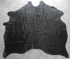 Superschönes Mittelgrosses