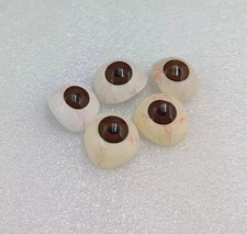 lot de 5 prothèses artificielles pour yeux en verre brun humain lot de 5