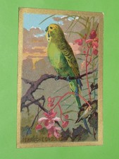 CHROME 1910-1930 SCHOOL BON-POINT ANIMALS WAVY PARAKEET