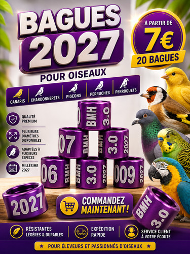 Aluminum bird rings 2027 - bird,