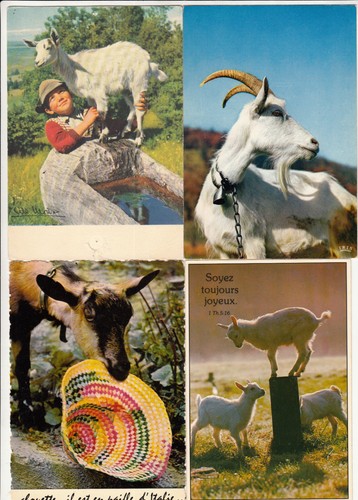 Lot cartes postales - 4,