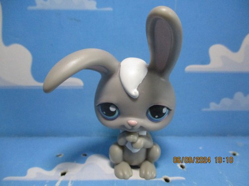 Petshop lapin garenne - petshop,