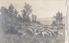 CP SALON ARTISTES FRANCAIS 1910 LAMBS AND SHEEP IN WASTELANDS D'EPAILLY - 62529