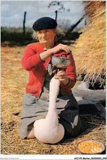 AJJP2-0123 - METIER - LA