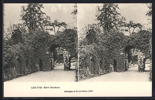 Stereo londres jardins de - stereo-ak,