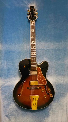 Aria pro jazz - pro, guitare