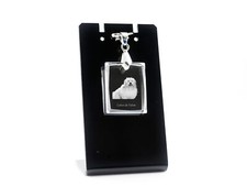 Coton de Tulear - Collier Pour