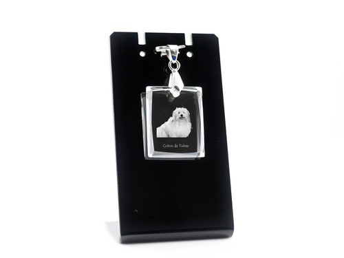 Coton tulear collier pour - tulear,