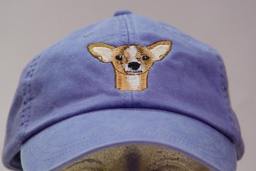 Chihuahua dog hat women men - dog,