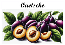 Quetsche 12 sticker vinyl conserve fruit légume confiture fait maison