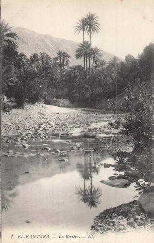 Carte postale afrique - postale, de