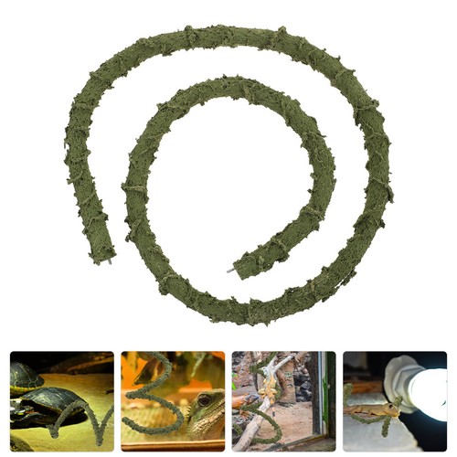 Accessoire pour terrarium - accessoire,