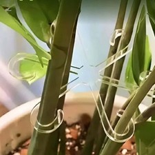 Support Tige Fleur Support