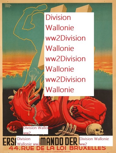 Photo légion wallonie - légion,
